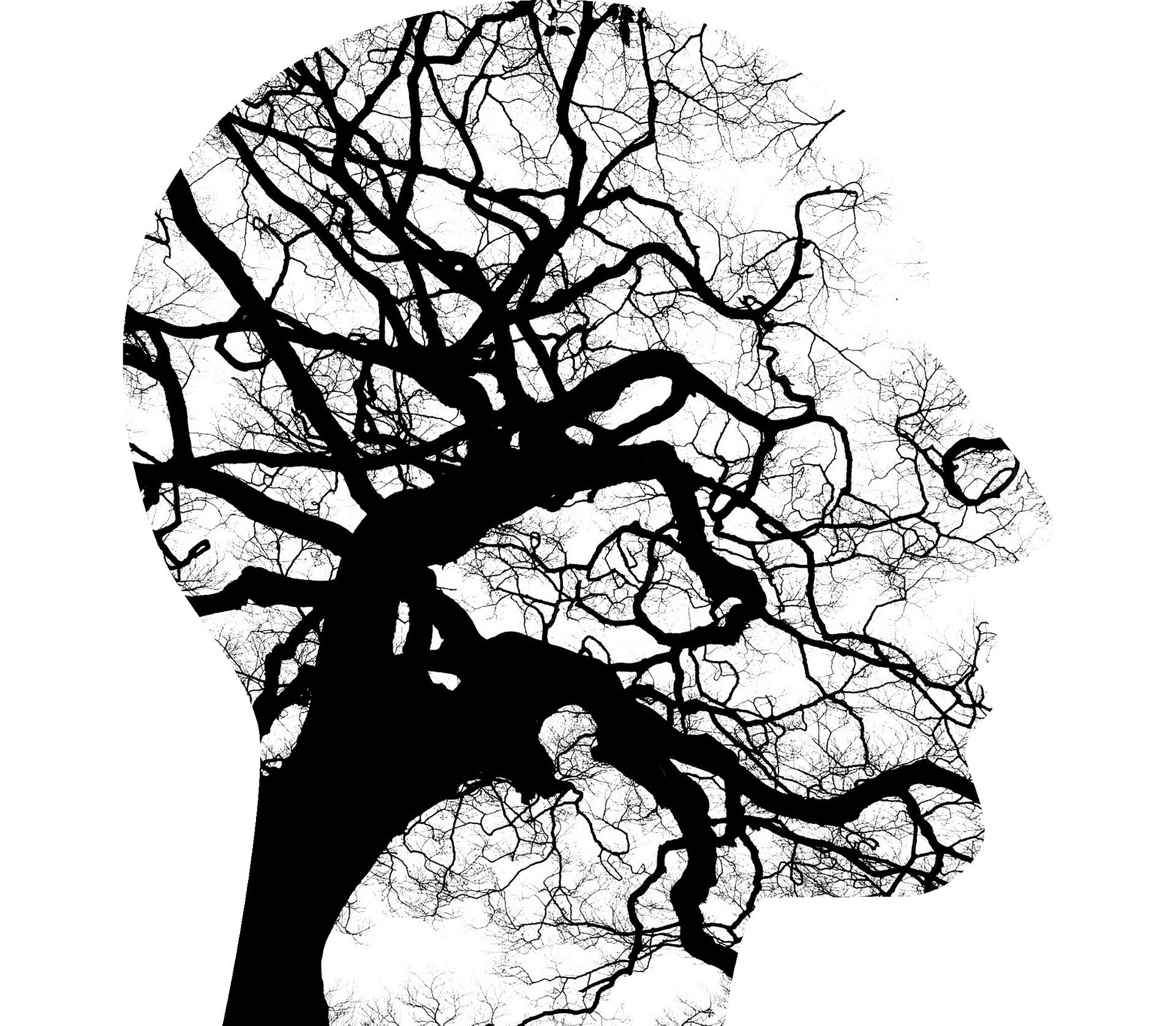 Psychomons Psychologue Mons
